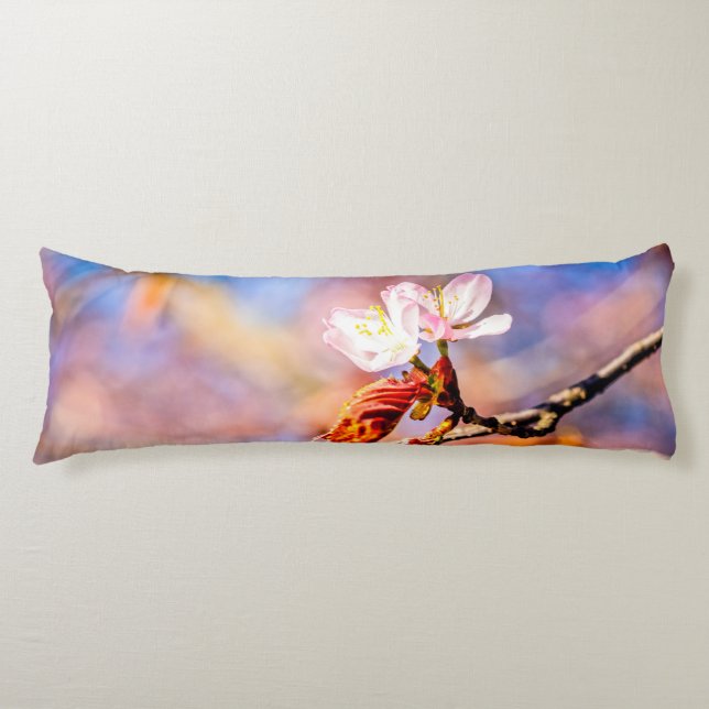 Two Amazing Sakura Flowers. Pink, Blue Background Body Cushion (Front)