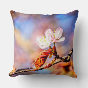Two Amazing Sakura Flowers. Pink, Blue Background Cushion