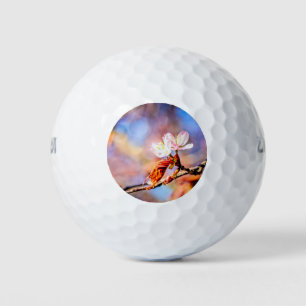 Two Amazing Sakura Flowers. Pink, Blue Background Golf Balls