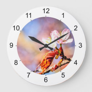 Two Amazing Sakura Flowers. Pink, Blue Background Large Clock