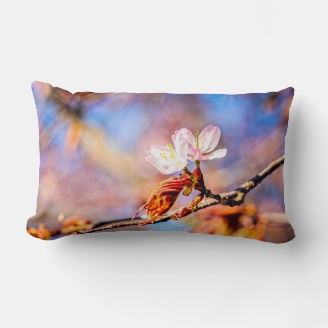 Two Amazing Sakura Flowers. Pink, Blue Background Lumbar Cushion (Front)