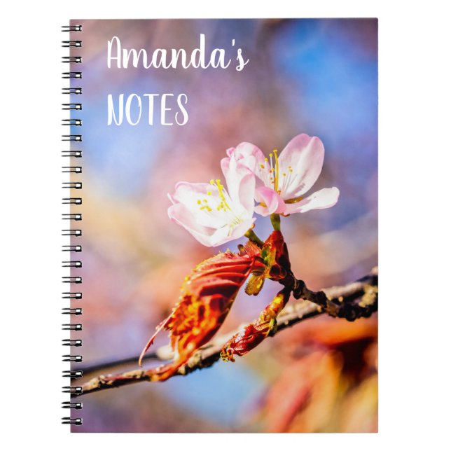 Two Amazing Sakura Flowers. Pink, Blue Background Notebook (Front)