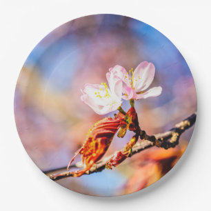 Two Amazing Sakura Flowers. Pink, Blue Background Paper Plate