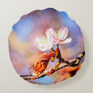 Two Amazing Sakura Flowers. Pink, Blue Background Round Cushion