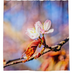 Two Amazing Sakura Flowers. Pink, Blue Background Shower Curtain
