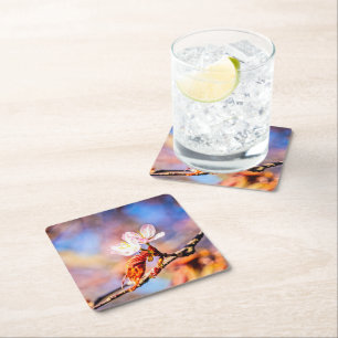 Two Amazing Sakura Flowers. Pink, Blue Background Square Paper Coaster