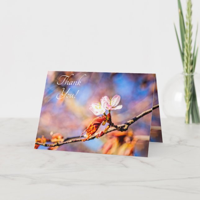 Two Amazing Sakura Flowers. Pink, Blue Background Thank You Card (Front)