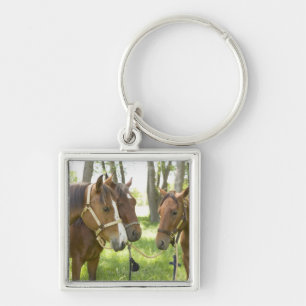 Two American Quarter horses standing in shade Key Ring