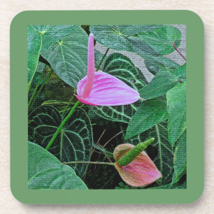 "TWO ANTHURIUM" SET OF 6 HARD PLASTIC COASTERS