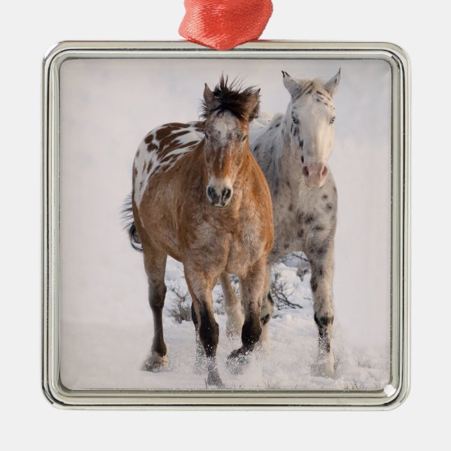 Two Appaloosas Horse Ornament (Front)