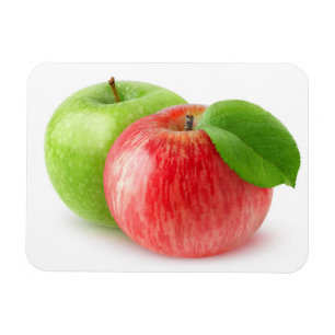 Two apples magnet