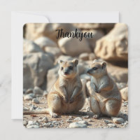 Two Aussie Rottnest IsLand Quokkas,