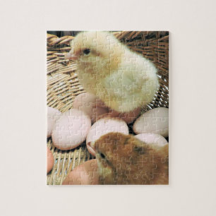 Two Baby Chickens in a Basket of Eggs Jigsaw Puzzle