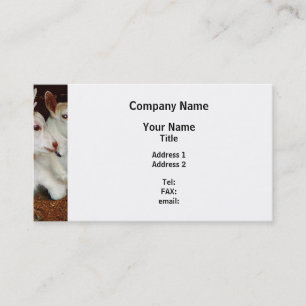 Two Baby Goats Business Card