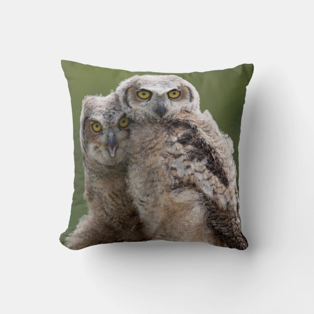 Two Baby Great Horned Owls Cushion (Front)