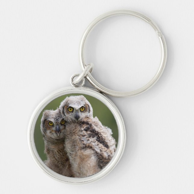 Two Baby Great Horned Owls Key Ring (Front)