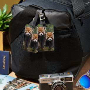 Two Baby Red Panda Bears In A Tree, Luggage Tag