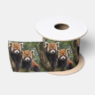 Two Baby Red Panda Bears In A Tree, Satin Ribbon