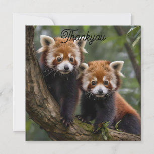 Two Baby Red Panda Bears In A Tree, Thank You Card