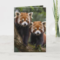 Two Baby Red Pandas, Birthday Card