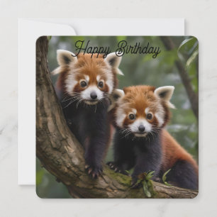 Two Baby Red Pandas, Flat Birthday Card