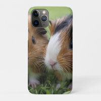 Two Baby Tortoiseshell Guinea Pigs,