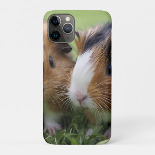 Two Baby Tortoiseshell Guinea Pigs, iPhone 11 Pro Case