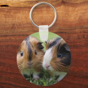 Two Baby Tortoiseshell Guinea Pigs, Key Ring
