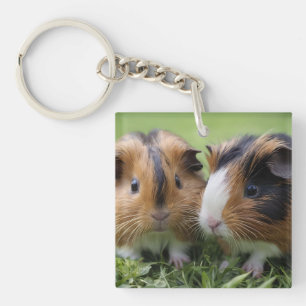 Two Baby Tortoiseshell Guinea Pigs, Key Ring