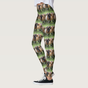 Two Baby Tortoiseshell Guinea Pigs, Leggings