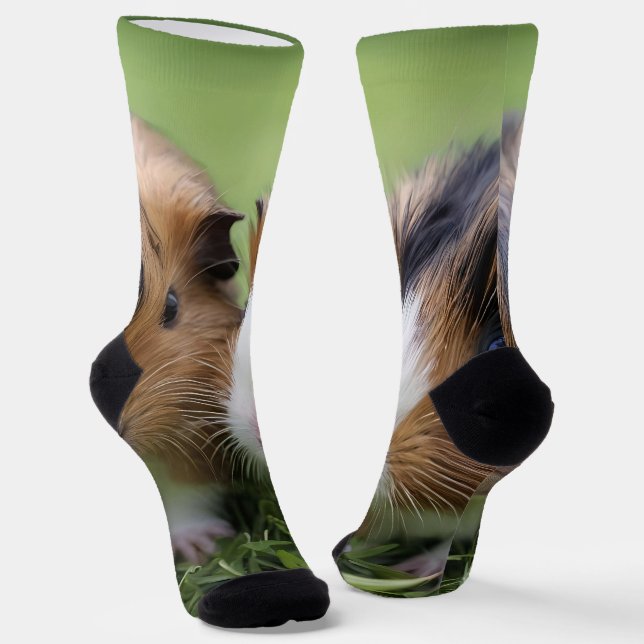 Two Baby Tortoiseshell Guinea Pigs, Socks (Angled)