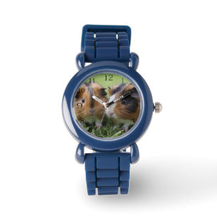 Two Baby Tortoiseshell Guinea Pigs, Watch