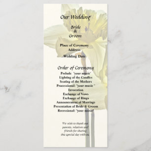 Two Backlit Daffodils Programme