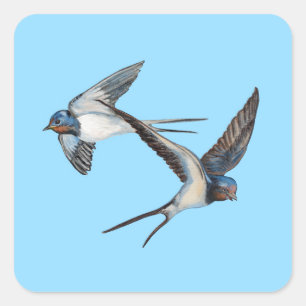Two Barn Swallows Flying High in the Blue Sky Square Sticker