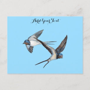 Two Barn Swallows Flying Personalised Postcard