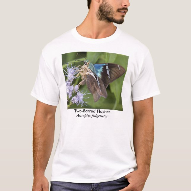 Two-Barred Flasher Butterfly T-Shirt (Front)
