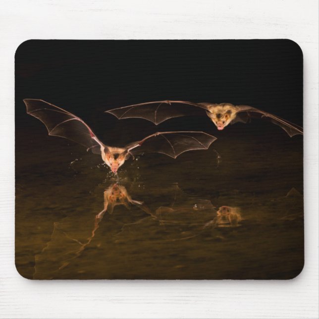 Two bats flying over water, Arizona Mouse Mat (Front)