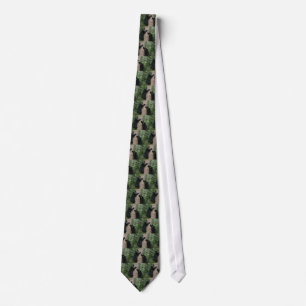 two bears in a tree tie
