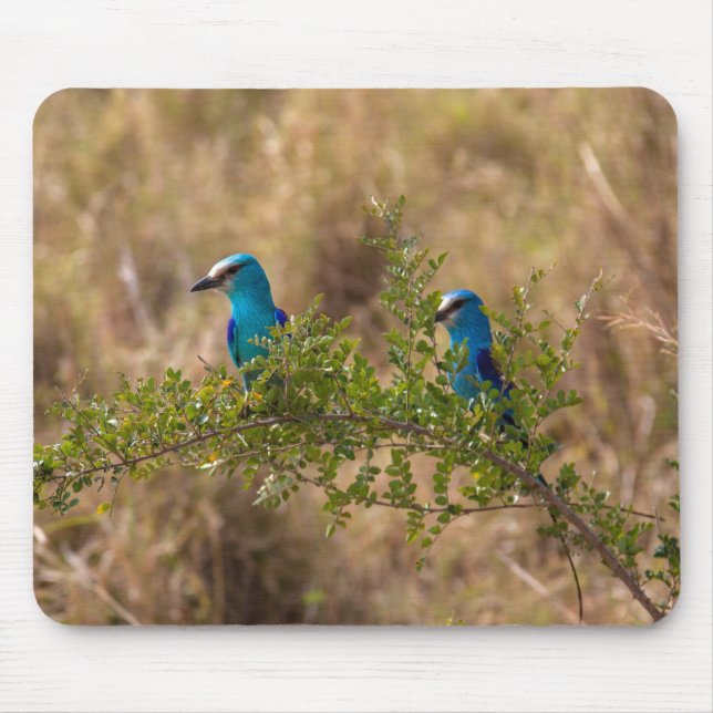 Two Beautiful Blue Birds on a Branch Mouse Mat (Front)