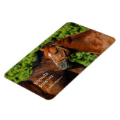 Two Beautiful Chestnut Horses in the Sun Magnet (Left Side)