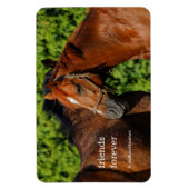 Two Beautiful Chestnut Horses in the Sun Magnet (Vertical)