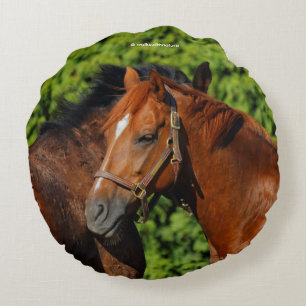 Two Beautiful Chestnut Horses in the Sun Round Cushion