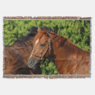 Two Beautiful Chestnut Horses in the Sun Throw Blanket