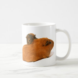 two beautiful guinea pig coffee mug