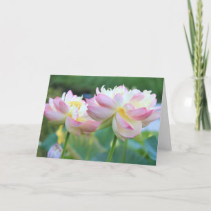 Two beautiful lotus flowers card