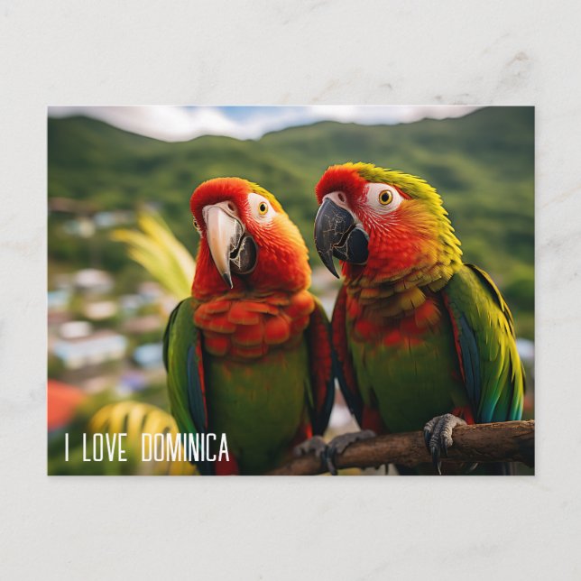 TWO BEAUTIFUL PARROTS FROM DOMINICA  POSTCARD (Front)
