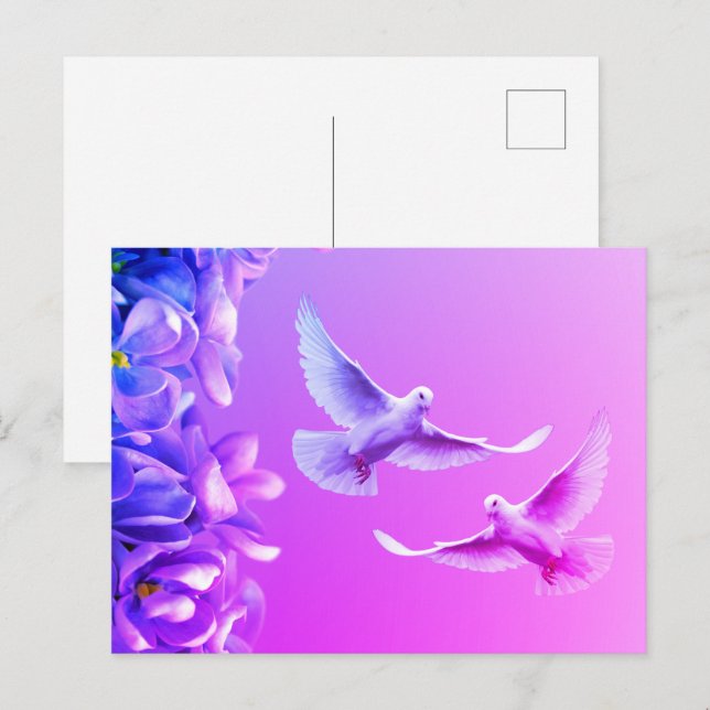 Two Beautiful White Doves Postcard (Front/Back)