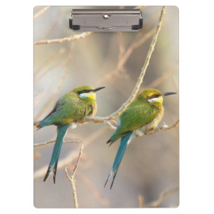 Two Bee-eaters Clipboard