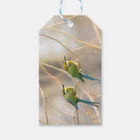 Two Bee-eaters