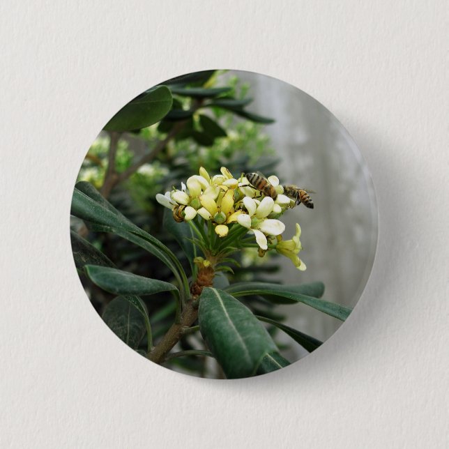 Two Bees 6 Cm Round Badge (Front)